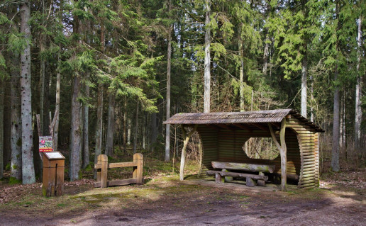 22_Atokvepio vieta prie Alijosiskiu kaimo.jpg